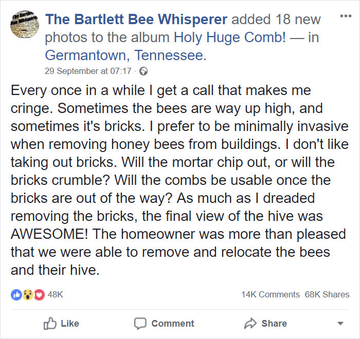 A honey bee rescue and relocation organization has shared its latest mission, and it has been liked by nearly 50,000 people in just a few days