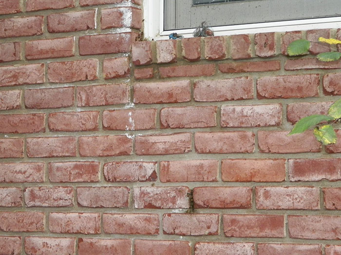 Guy removes epic bee hive from a wall