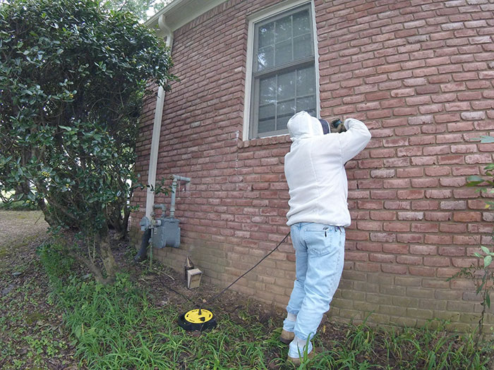 Guy removes epic bee hive from a wall