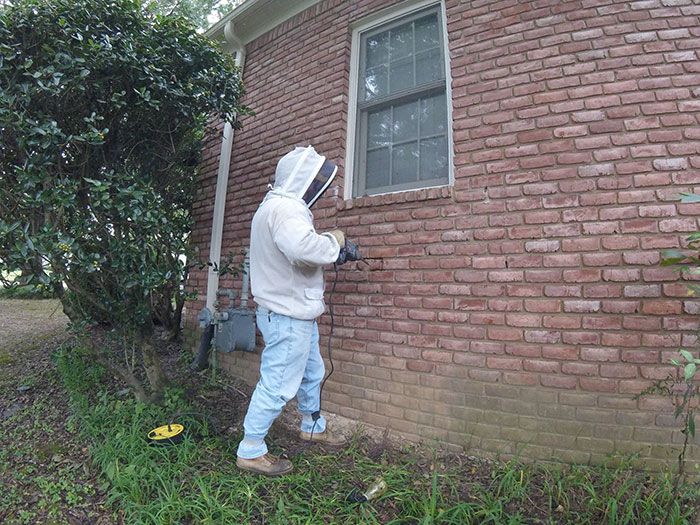 Guy removes epic bee hive from a wall