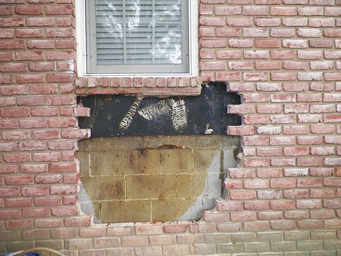 Guy removes epic bee hive from a wall