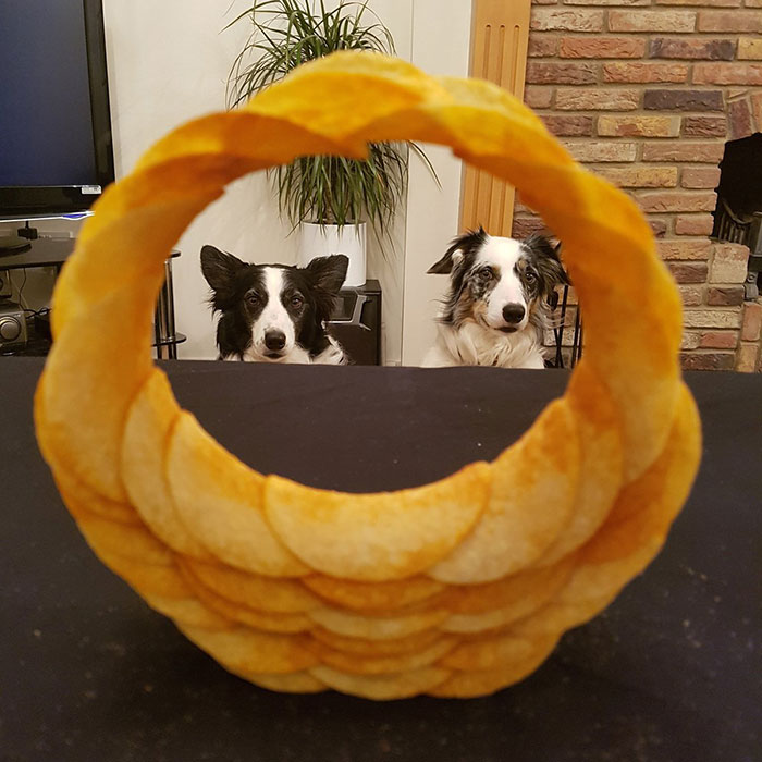 Chips stacked in a circle with dogs