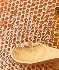A gif of a wooden spoon pushing against honey comb 