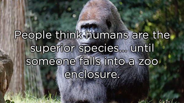 20 Shower thoughts to make you think