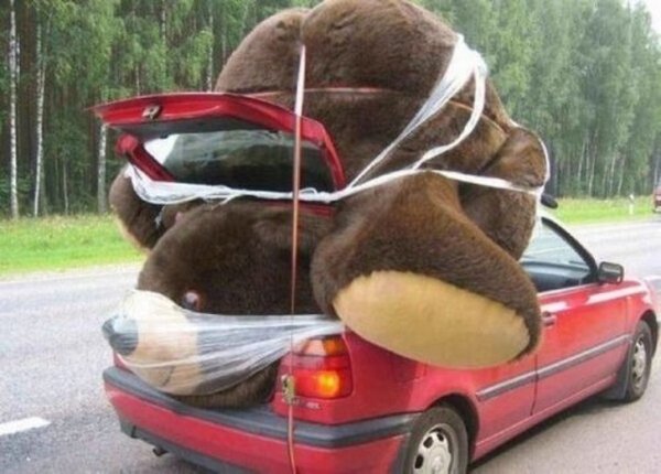 Oversized stuffed bear