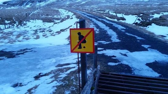 fail iceland no pooping sign