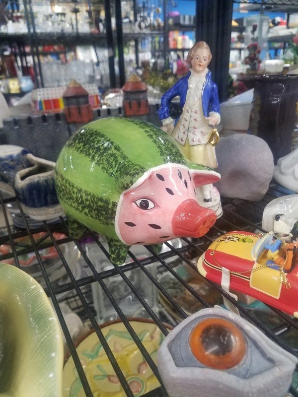 watermelon pig