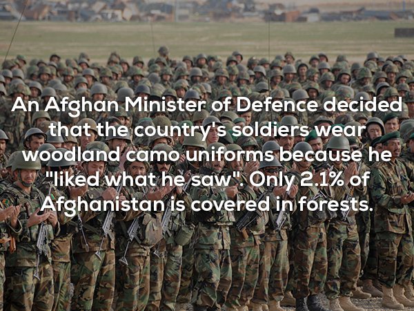 army - An Afghan Minister of Defence decided that the country's soldiers wear woodland camo uniforms because he "d what he saw". Only 2.1% of Afghanistan is covered in forests. Al