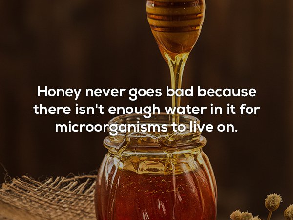 Honey never goes bad because there isn't enough water in it for microorganisms to live on.