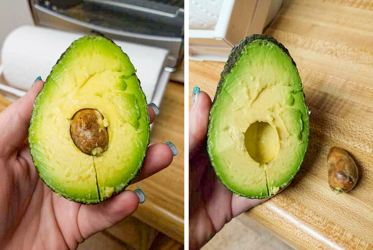 avocado - Co