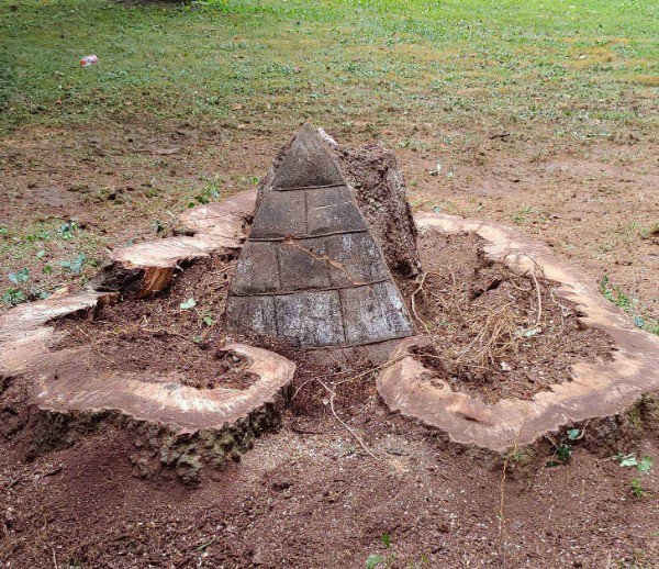 “Found this pyramid in a tree that was taken down the other day.”