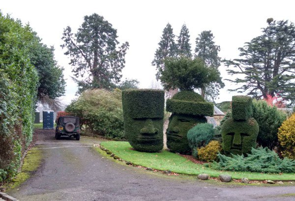 Awesome hedges.