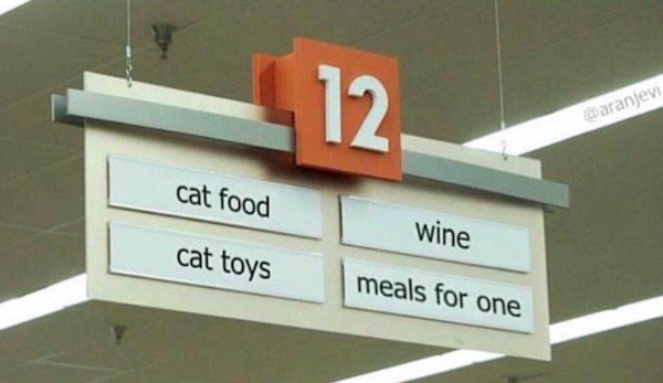 fail independent woman aisle - Garanjevi cat food cat toys Wine meals for one