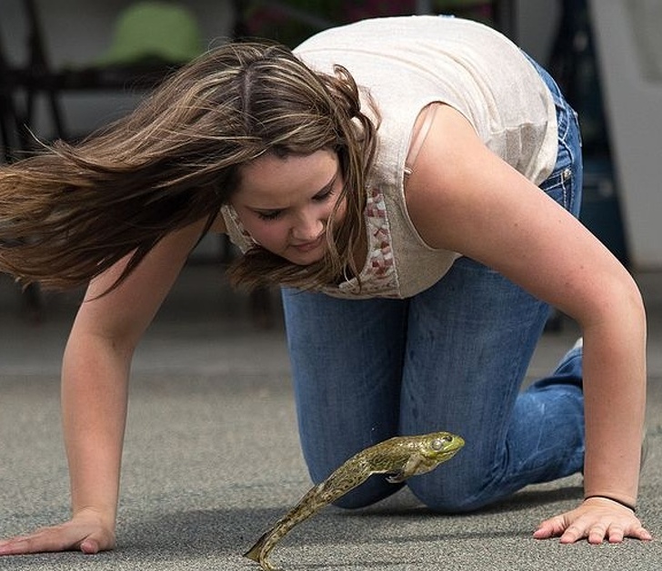 California: If a frog dies during a frog-jumping contest, you cannot eat it.