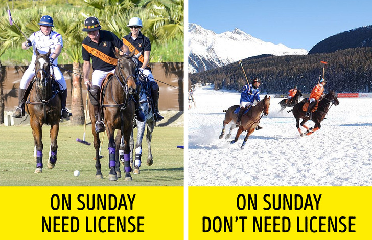 Rhode Island: Professional games, except ice polo and hockey, can be played on Sunday only after obtaining a license.