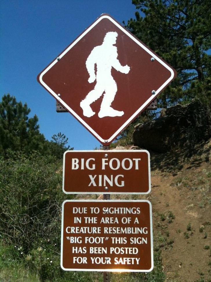 Washington: In Skamania County, Washington, harassing a Bigfoot, Sasquatch, or other undiscovered subspecies is a felony punishable by a fine and/or imprisonment.