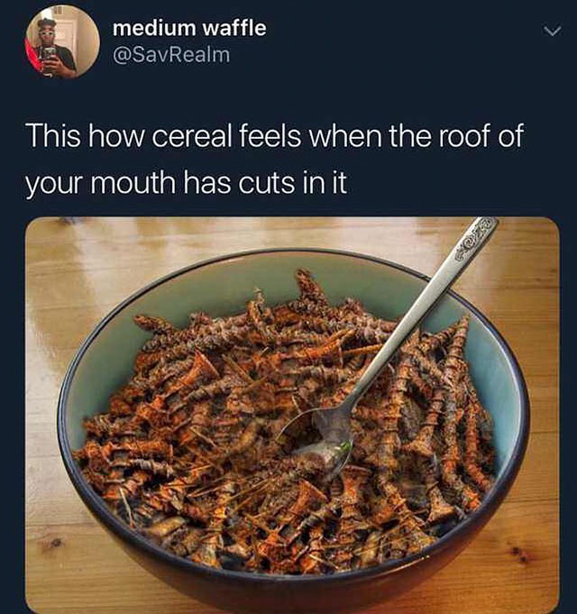 memes - cereal cuts mouth - medium waffle This how cereal feels when the roof of your mouth has cuts in it