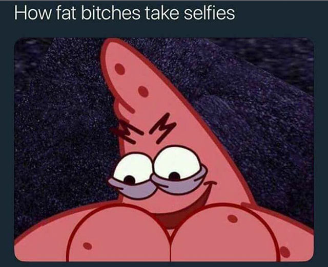 memes - fat bitches take selfies meme - How fat bitches take selfies