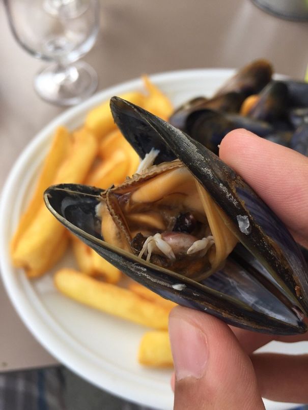 crabs in mussels