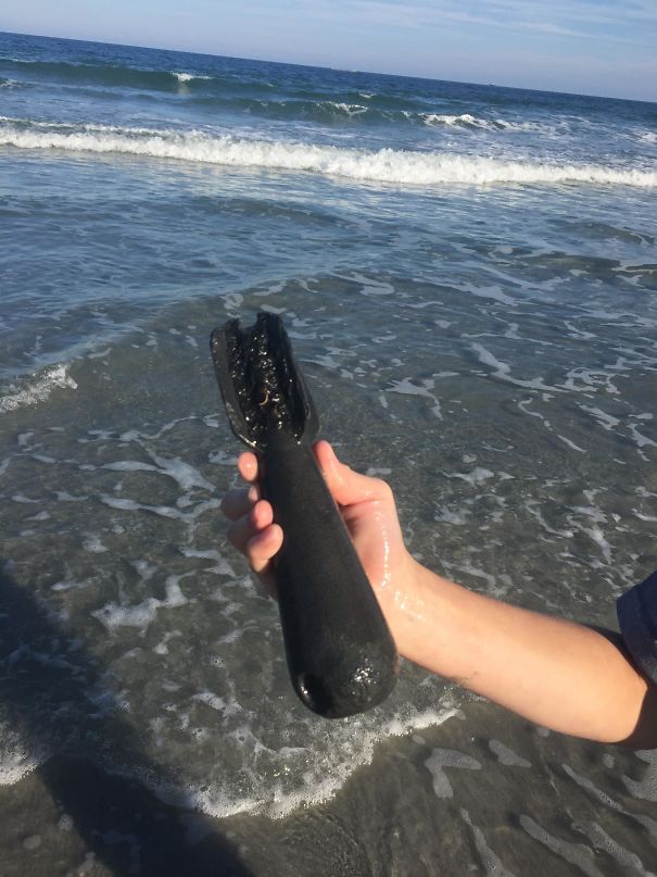 thing found in ocean