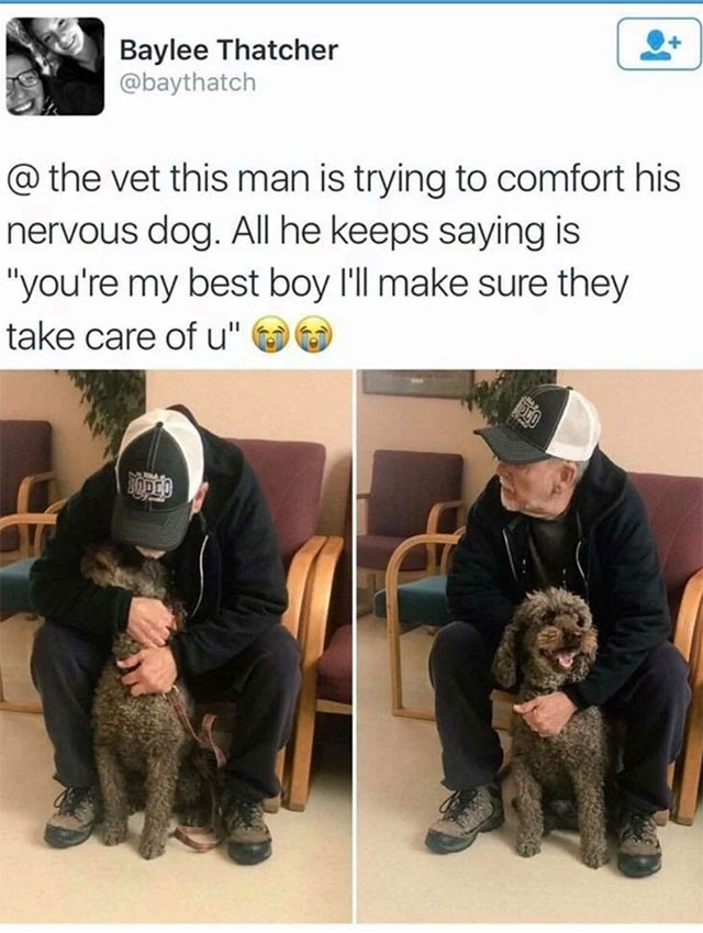 you re my best boy dog - Baylee Thatcher @ the vet this man is trying to comfort his nervous dog. All he keeps saying is "You're my best boy I'll make sure they take care of u" 80DCO