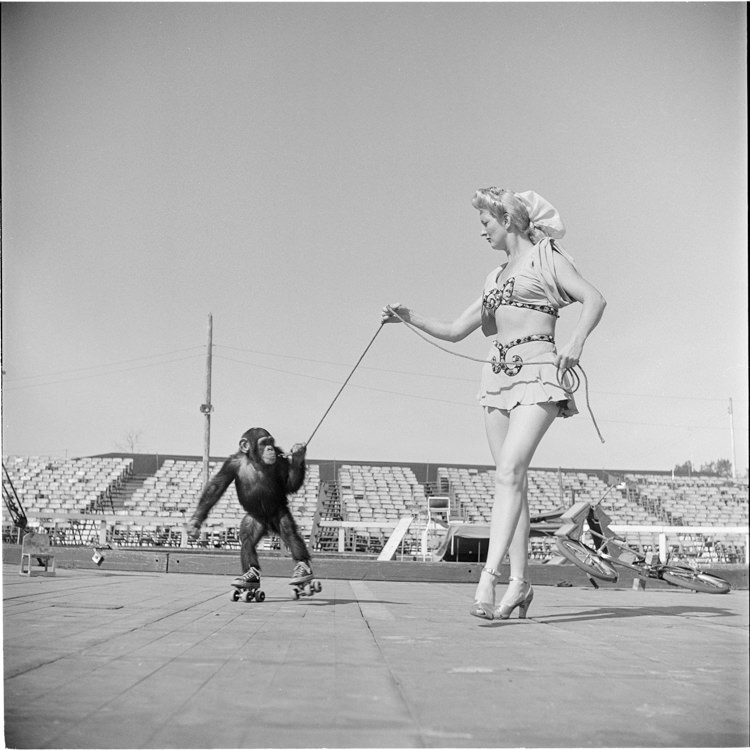 15 pics from Circus life in the 1940's