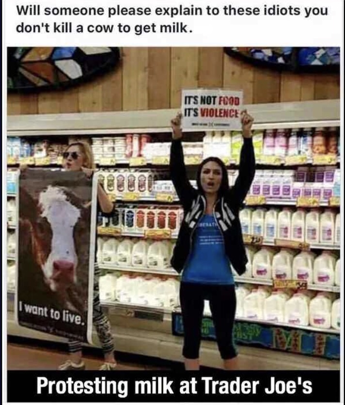 protesting milk at trader joe's - Will someone please explain to these idiots you don't kill a cow to get milk. Its Not Food It'S Violence I want to live. Protesting milk at Trader Joe's