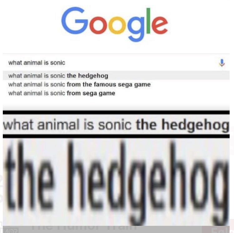 number - Google what animal is sonic what animal is sonic the hedgehog what animal is sonic from the famous sega game what animal is sonic from sega game what animal is sonic the hedgehog the hedgehog