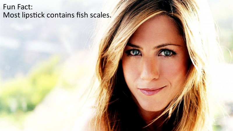 jennifer aniston - Fun Fact Most lipstick contains fish scales.