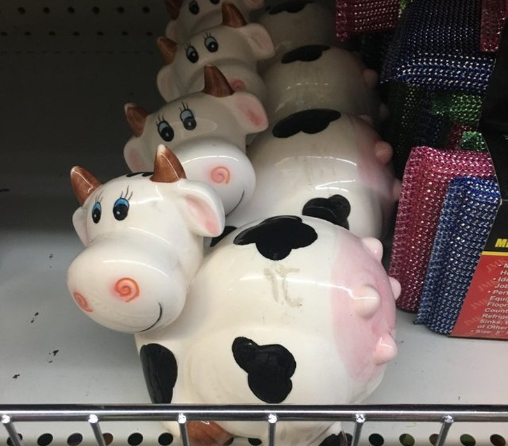 Something is completely wrong with these cows.