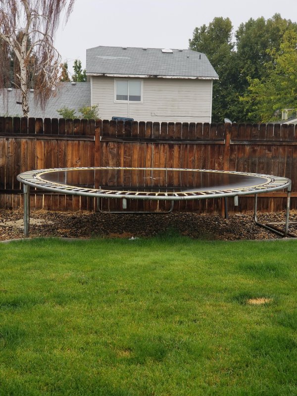 “The water reflecting off our old trampoline makes it look invisible.”