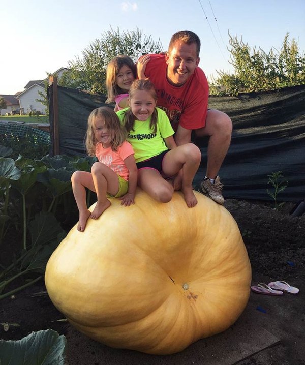 This huge pumpkin