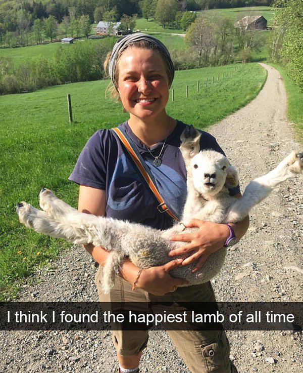 I think I found the happiest lamb of all time