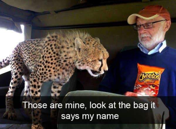 african safari cheetahs - heetos Gund Those are mine, look at the bag it says my name