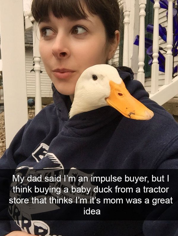 photo caption - Ran My dad said I'm an impulse buyer, but I think buying a baby duck from a tractor store that thinks I'm it's mom was a great idea