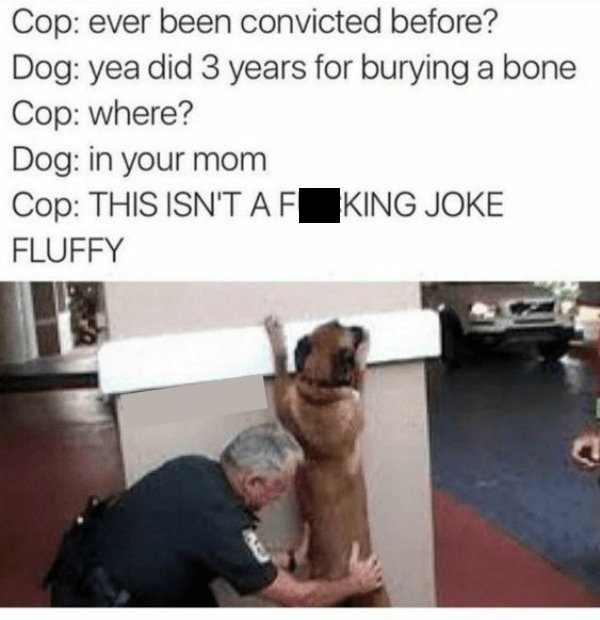 masipopal memes - Cop ever been convicted before? Dog yea did 3 years for burying a bone Cop where? Dog in your mom Cop This Isn'T Af King Joke Fluffy