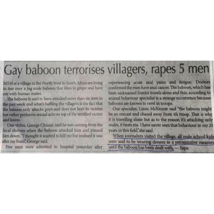 Gay baboon terrorises villagers, rapes 5 men Men at a village in the North West in South Africa are living in fear over a big male baboon that to grope and have sex with human males. The baboon is said to have attacked more than six men in the past week…