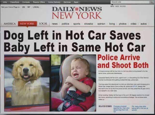 dog left in hot car saves baby left in same hot car - Job Cinsis Contoh Render Ottem Dist your Hom Pipete Us Ny Local Homo nivery Service Ange Daily News beach Site Web Bros New York America New York Tocal news politics Sports Showbiz opinion living photo