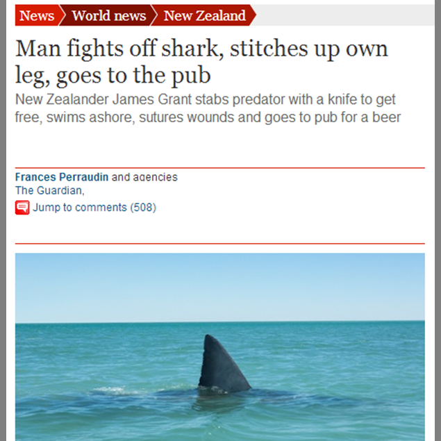 great white shark fin - News World news New Zealand Man fights off shark, stitches up own leg, goes to the pub New Zealander James Grant stabs predator with a knife to get free, swims ashore, sutures wounds and goes to pub for a beer Frances Perraudin and