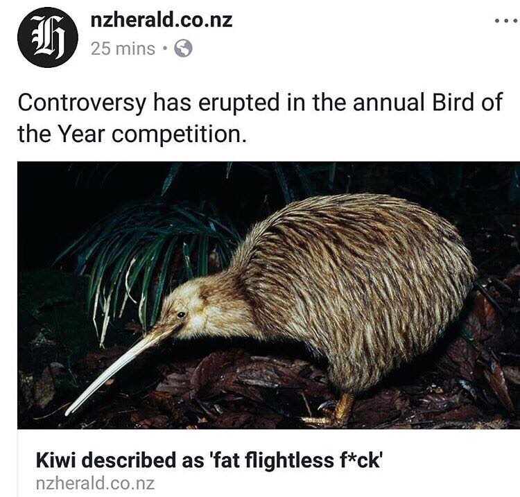 nzherald.co.nz 25 mins Controversy has erupted in the annual Bird of the Year competition. Kiwi described as 'fat flightless fck' nzherald.co.nz