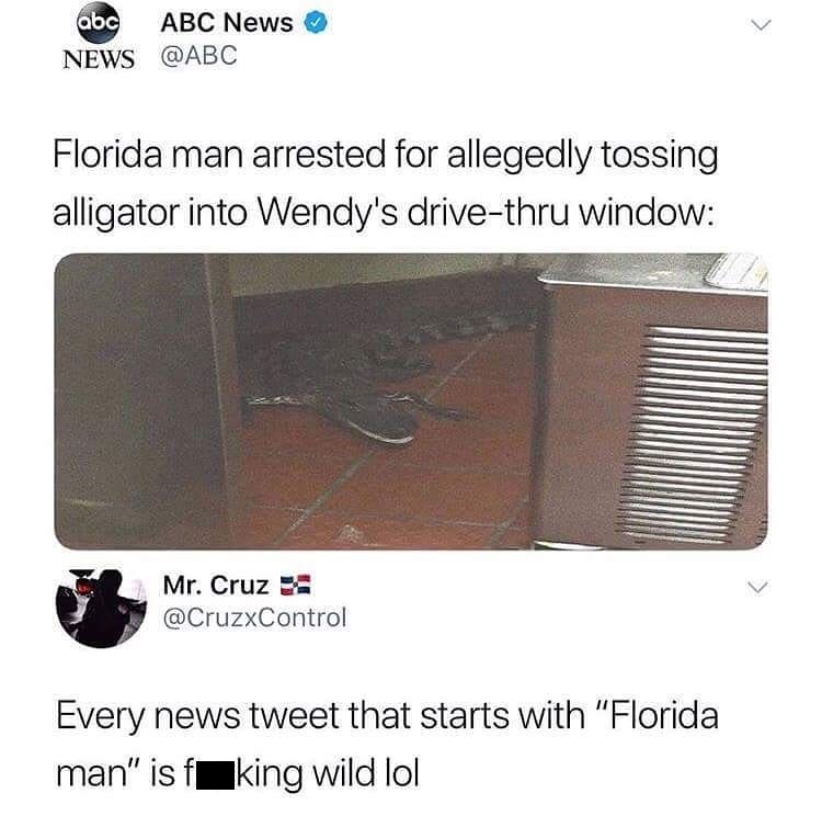 material - abc Abc News News Florida man arrested for allegedly tossing alligator into Wendy's drivethru window Blue Mr. Cruz Every news tweet that starts with "Florida man" is fking wild lol
