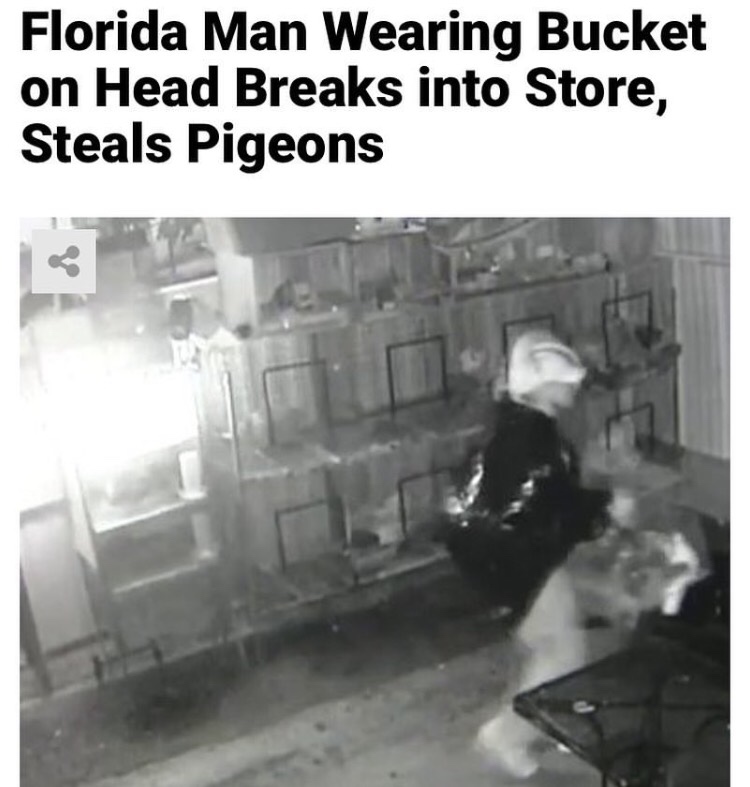 monochrome photography - Florida Man Wearing Bucket on Head Breaks into Store, Steals Pigeons