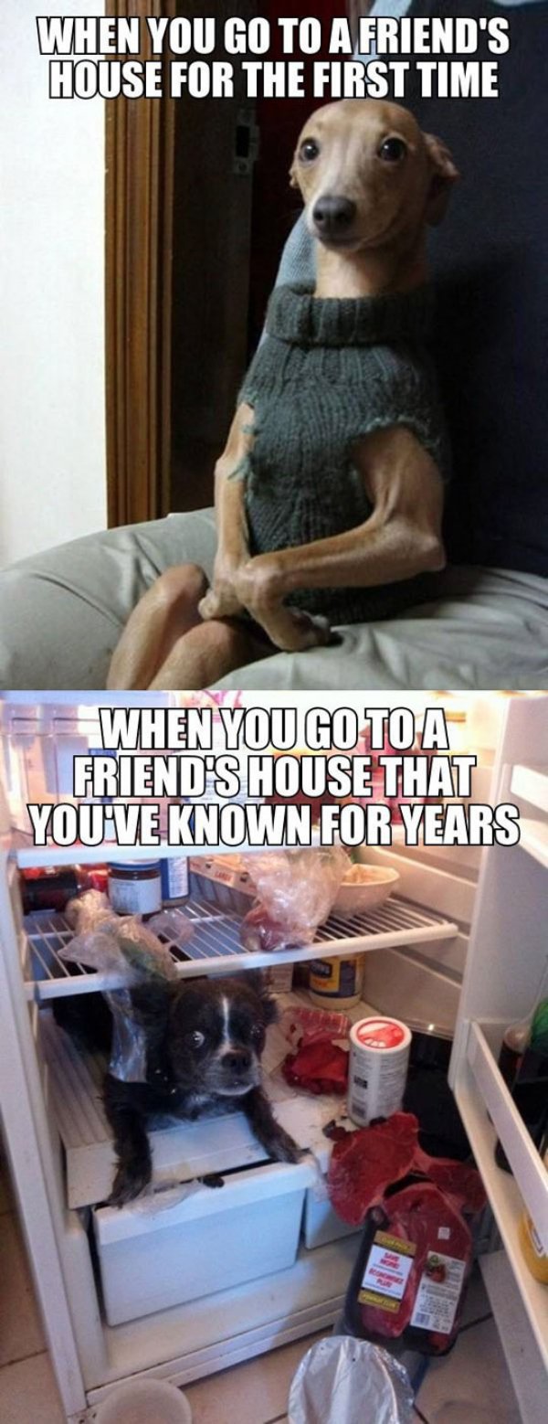 visiting friends meme - When You Go To A Friend'S House For The First Time When You Go Toa Friend'S House That You'Ve Known For Years