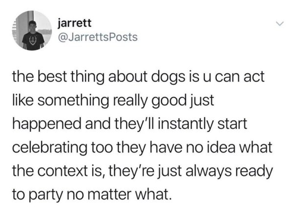 im not jealous flavio im gay - jarrett the best thing about dogs is u can act something really good just happened and they'll instantly start celebrating too they have no idea what the context is, they're just always ready to party no matter what.