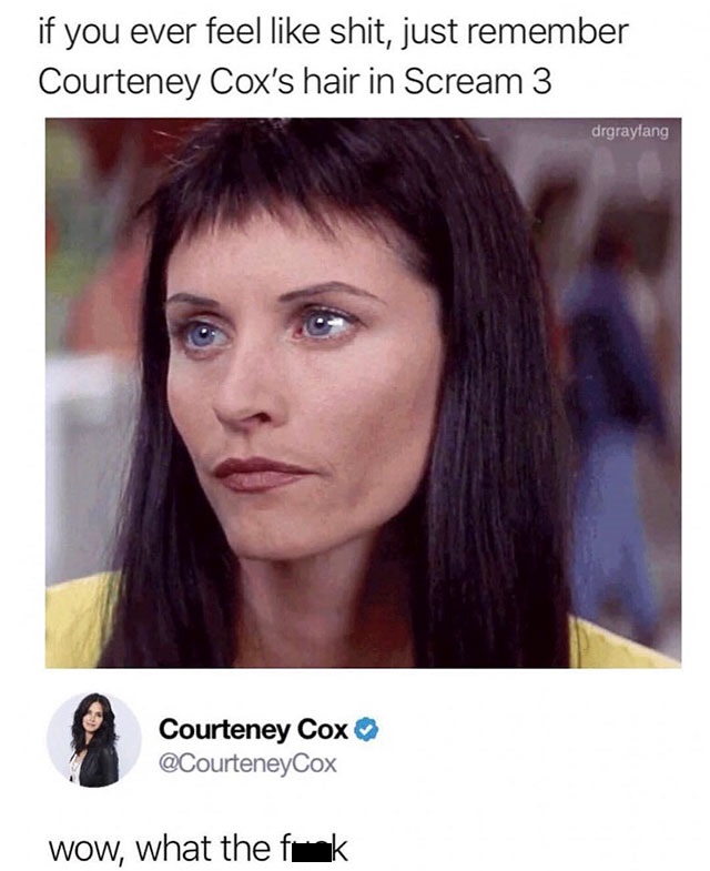courteney cox scream hair meme - if you ever feel shit, just remember Courteney Cox's hair in Scream 3 drgraylang Courteney Cox Wow, what the fmk.