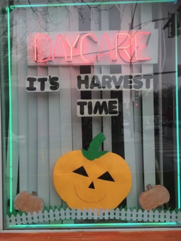 display window - It'S Harvesti Time