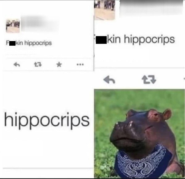 hippocrips meme - F kin hippocrips kin hippocrips 6 7 hippocrips