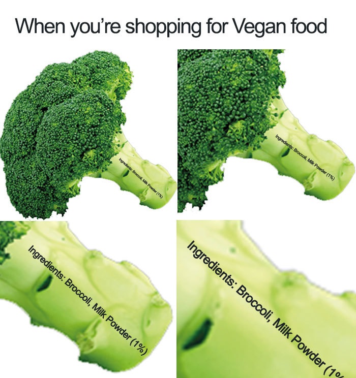 vegan vegan broccoli milk joke - When you're shopping for Vegan food Ingredients Broccoli, Milk Powder 19 Ingrid Brool, M Powder 1% Ingredients Broccoli, Milk Powder 1% Ingredients Broccoli, Milk Powder 1