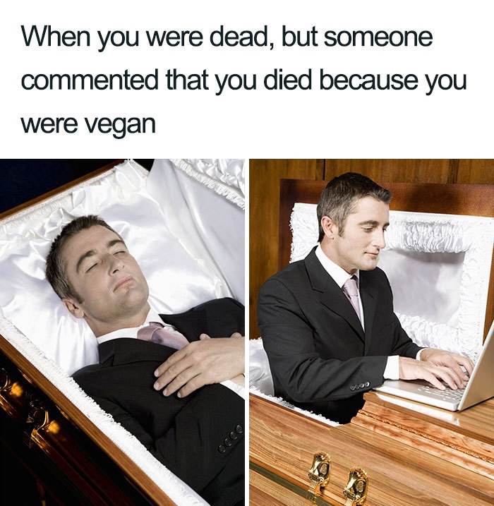 vegan college meme - When you were dead, but someone commented that you died because you were vegan