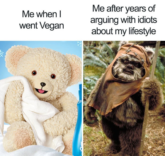 vegan living on your own memes - Me when I went Vegan Me after years of arguing with idiots about my lifestyle V